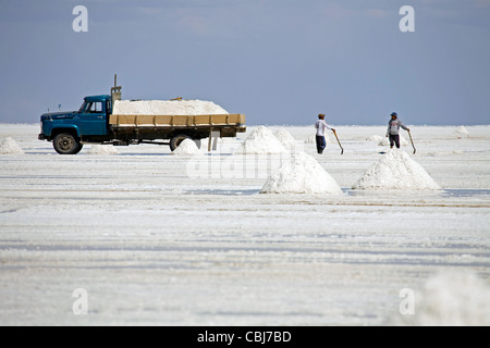 Salzgewinnung in salt flache Salar de Uyuni / Salar de Tunupa auf dem Hochplateau Altiplano, Bolivien Stockfoto
