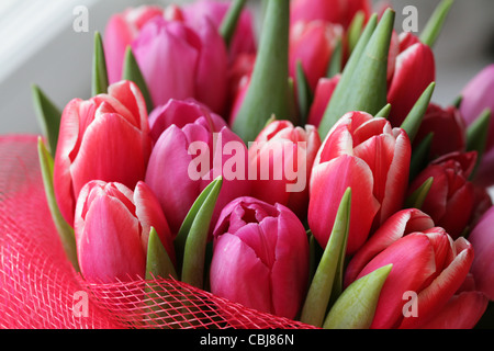 Bouquet von rosa Tulpen Stockfoto