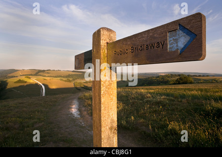 Öffentliche Maultierweg Wegweiser auf dem Beacon Hill, South Downs Way, in der Nähe von South Harting, West Sussex, England. Am späten Nachmittag. Kreide-Pfad. Stockfoto