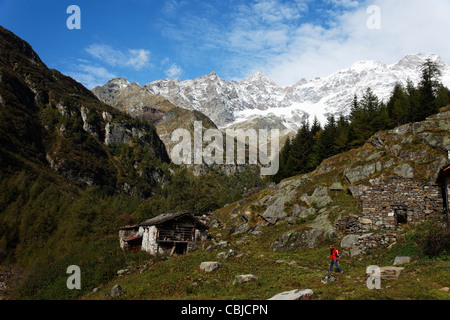 Wandern, Monte Rosa-Massiv, Alagna Valsesia, Piemont, Italien Stockfoto