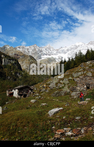 Wandern, Monte Rosa-Massiv, Alagna Valsesia, Piemont, Italien Stockfoto