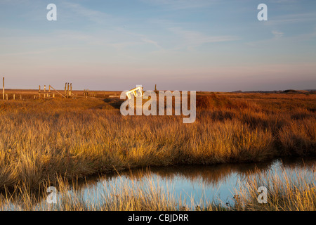 Aufnahme in Thorndon in Norfolk. Stockfoto