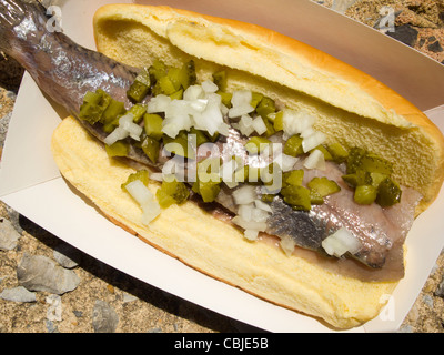 Hering-Sandwich von Russ und Töchter an der New Amsterdam Market, NYC Stockfoto