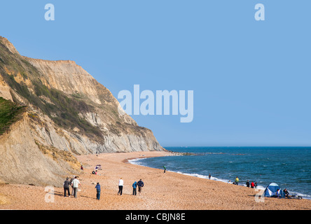 Menschen am Strand im Sommer im Charmouth, Dorset, England Stockfoto