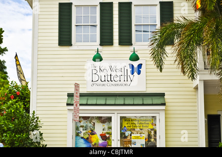 Key West Butterfly & Nature Conservatory - Touristenattraktion Stockfoto