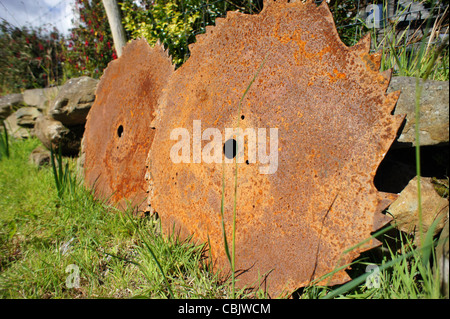 Antike alte rostige landwirtschaftlichen Geräten (zwei Runden mit Sägeblättern Zähne) Stein Wand gelehnt, auf Rasen in Kerry, Irland. Stockfoto