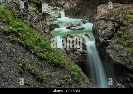 Wasserfall in der grünen Natur in Österreich Stockfoto