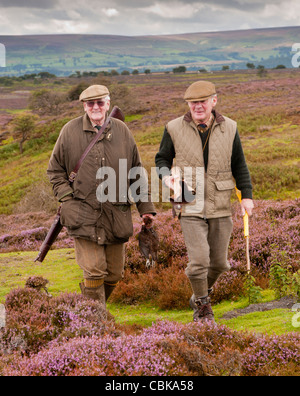 North Yorkshire, England, Großbritannien - zwei Männer, einer mit einer Moorschneehuhn, wandern über einen Grouse Moor während einer angetriebenen Moorhuhn schießen Stockfoto