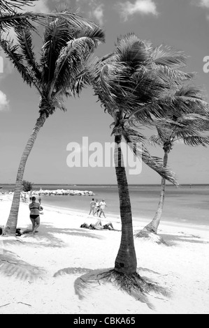 Smathers Beach in Key West Florida Stockfoto