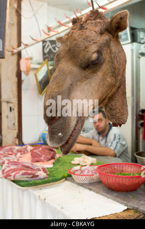 Camels Kopf hängen vor ein Geschäft mit Kamelfleisch in der Medina, Fes, Marokko Stockfoto