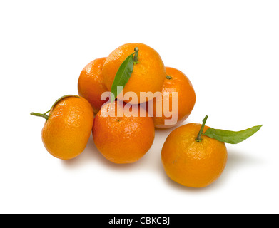 Mandarine mit einem Blatt isoliert auf weißem Hintergrund Stockfoto