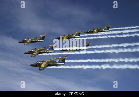 Saab 105 Jet Trainer der schwedischen Luftwaffe Anzeige Mannschaft, Team 60. Stockfoto