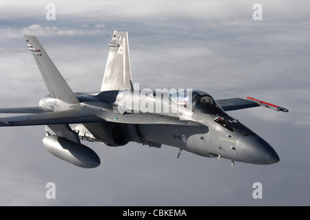 McDonnell Douglas F/A-18 Hornet der finnischen Luftwaffe. Stockfoto
