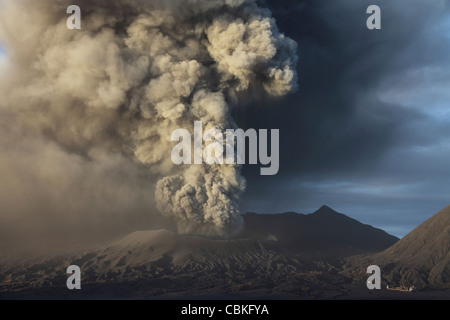 19. März 2011 - Eruption der Aschewolke aus dem Vulkan Mount Bromo, Tengger Caldera, Java, Indonesien. Stockfoto