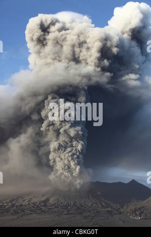 19. März 2011 - Eruption der Aschewolke aus dem Vulkan Mount Bromo, Tengger Caldera, Java, Indonesien. Stockfoto