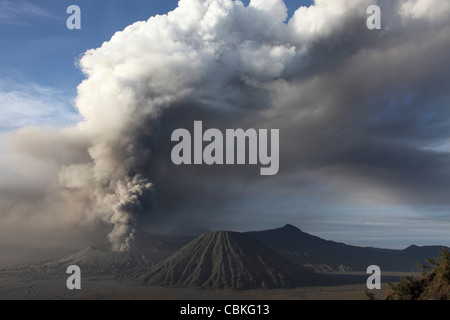 19. März 2011 - Eruption der Aschewolke aus dem Vulkan Mount Bromo, Tengger Caldera, Java, Indonesien. Stockfoto