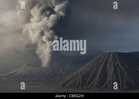 19. März 2011 - Eruption der Aschewolke aus dem Vulkan Mount Bromo, Tengger Caldera, Java, Indonesien. Stockfoto