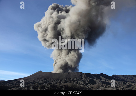 21. März 2011 - Eruption der Aschewolke aus dem Vulkan Mount Bromo, Tengger Caldera, Java, Indonesien. Stockfoto