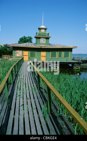 Holzsteg durch Reed führt zu einem Bootshaus an der Ostsee in Haapsalu, Estland, Baltikum Stockfoto