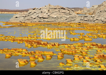 27. Januar 2011 - Dallol geothermische Gebiet, Kalium Salzlagerstätten durch gebildet Sole-Thermalbad, Danakil-Senke, Äthiopien. Stockfoto