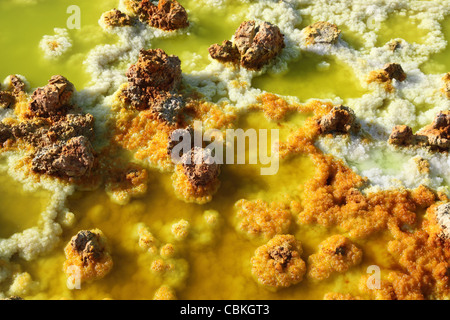 27. Januar 2011 - Dallol geothermische Gebiet, Kalium Salzlagerstätten durch gebildet Sole-Thermalbad, Danakil-Senke, Äthiopien. Stockfoto