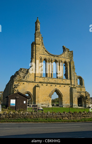 Ruinen Ruine Überreste der Byland Abbey in der Nähe von Coxwold North Yorkshire England GB Vereinigtes Königreich GB Großbritannien Stockfoto