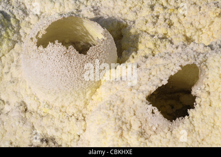 Dallol geothermische Gebiet, heiße Ei-förmige Fumarole Ablagerungen gebildet in Salzlagerstätten Sole Federn, Danakil-Senke, Äthiopien. Stockfoto