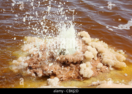 11. Februar 2008 - Dallol geothermische Gebiet, kleine Geysir in Sole-Thermalbad, Danakil-Senke, Äthiopien. Stockfoto