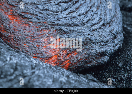 Fortschreitende Lava Zeh im Lavastrom von Kilauea-Vulkan, Big Island, Hawaii. Stockfoto