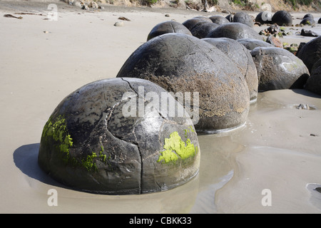 Moeraki Boulders, Koekohe Beach, Neuseeland. Stockfoto