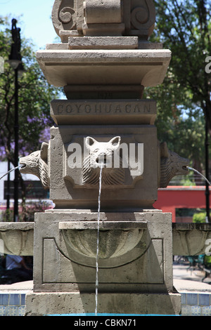 Kojote-Brunnen, Jardin Centenario, Coyoacán, Mexiko-Stadt, Mexiko, Nordamerika Stockfoto