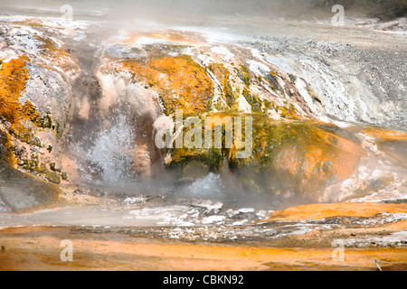 November 2007 - Hot Spring, Mannschaftskapitän Terrassenbereich Geothermie, Waimangu Valley, New Zealand. Stockfoto