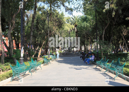 Jardin Centenario, Coyoacán, Mexiko-Stadt, Mexiko, Nordamerika Stockfoto