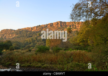 Ein Ranthambhore Fort Blick aus dem Inneren des Ranthambhore Tiger Reserve, Rajasthan Indien. Stockfoto