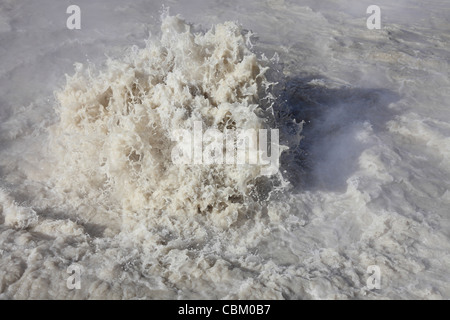 Buttern Kessel heißen Frühling, Mud Volcano / Schwefel Hexenkessel geothermische Gebiet, Yellowstone-Nationalpark, Wyoming. Stockfoto