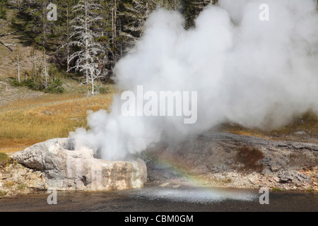 Riverside-Geysir Ausbruch mit Regenbogen, geothermische Gebiet Upper Geyser Basin, Yellowstone Caldera, Yellowstone National Park, Wyom Stockfoto