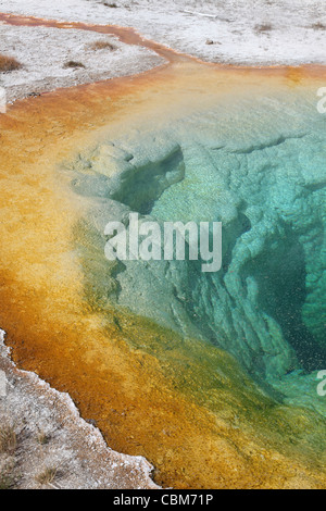Morning Glory Pool Hot Spring, geothermische Gebiet Upper Geyser Basin, Yellowstone Caldera, Yellowstone-Nationalpark, Wyoming. Stockfoto