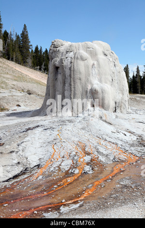 Lone Star Geyser Geyserite Kegel, dritte Geyser Basin geothermische Gebiet, Yellowstone Caldera, Yellowstone-Nationalpark, Wyoming. Stockfoto