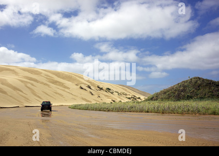 Ein Fahrzeug-Heads entlang 90 Mile Beach in Northland. Neuseeland Stockfoto