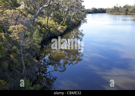 Die Blackwood River, in der Nähe von Karridale, Western Australia. Stockfoto