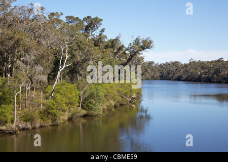 Die Blackwood River, in der Nähe von Karridale, Western Australia. Stockfoto