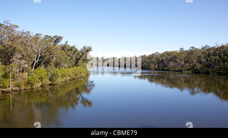 Die Blackwood River, in der Nähe von Karridale, Western Australia. Stockfoto