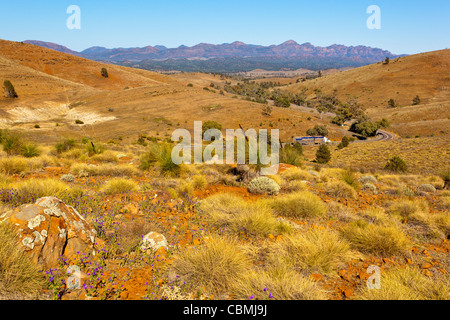 Blick vom Hucks Lookout in Richtung Heysen Palette und Wilpena Pound im Flinders Ranges National Park in Süd-Australien outback Stockfoto