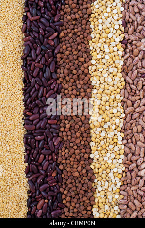 Hülsenfrüchte, Samen, Bohnen und Linsen Muster Stockfoto
