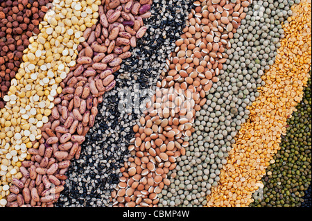 Hülsenfrüchte, Samen, Bohnen und Linsen Muster Stockfoto