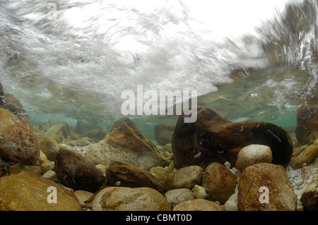 Wellen am Ufer, Piran, Adria, Slowenien Stockfoto