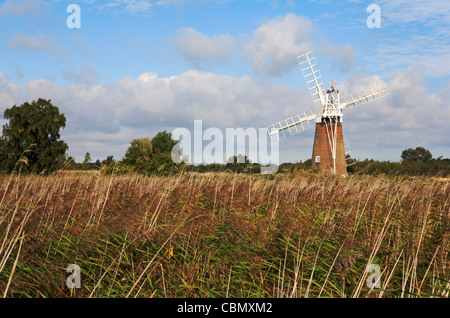 Ein Blick auf Turf Moor Entwässerung Mühle über Schilfflächen wie Hill, in der Nähe von Ludham, Norfolk, England, Vereinigtes Königreich. Stockfoto