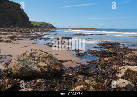 Pennan Strand, Moray Firth, Aberdeenshire, Schottland Stockfoto