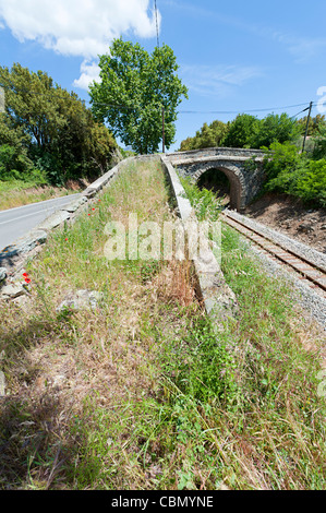 Verwachsenem Pfade Brücke über Bahnstrecke Stockfoto