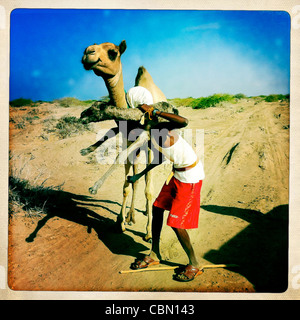 Schwarze Reife Mann, hält Baby Kamelhaar auf seinem Rücken, Lughaya Bereich, Somaliland Stockfoto